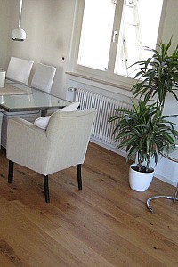 bilder-daubitzer-329