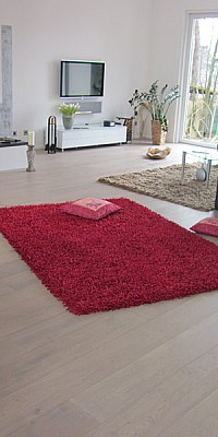 bilder-daubitzer-506