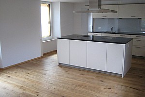 bilder-daubitzer-231